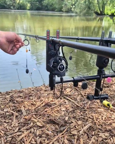 Grim reaper carp fishing - carp,